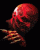 /album/nightmare/nightmare-007-gif/